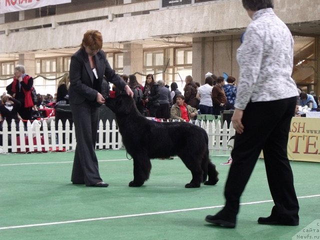 Фотография № 81422