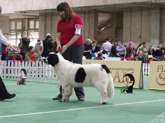 Фотография № 81425