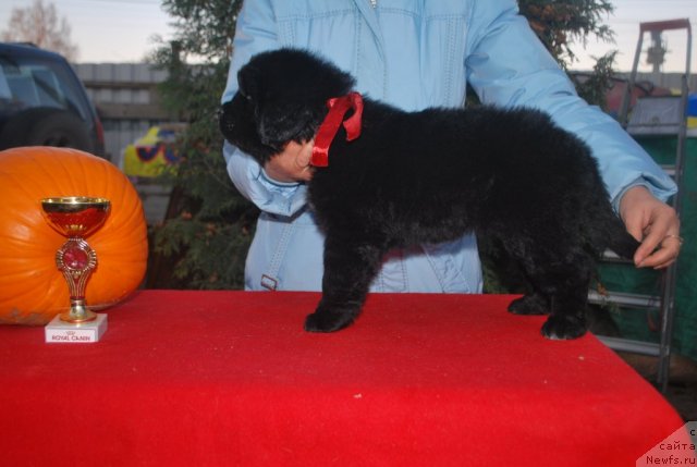 Фото: Natal'ya Smirnova (Наталья Смирнова)