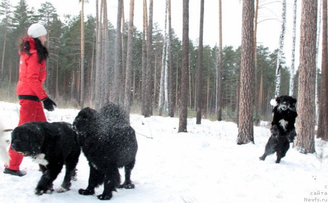 Фотография № 81432