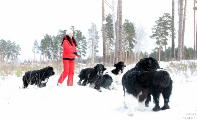 Фотография № 81435