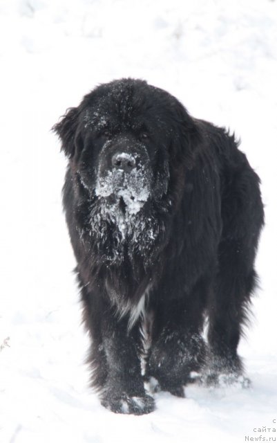 Фотография № 81437