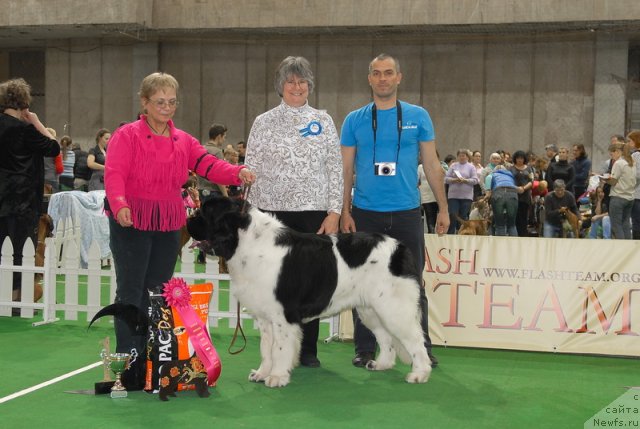 Фотография № 81444