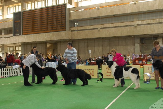 Фотография № 81446