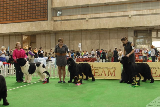 Фотография № 81453