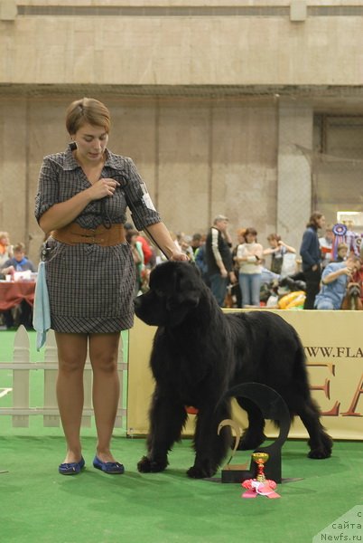 Фотография № 81455