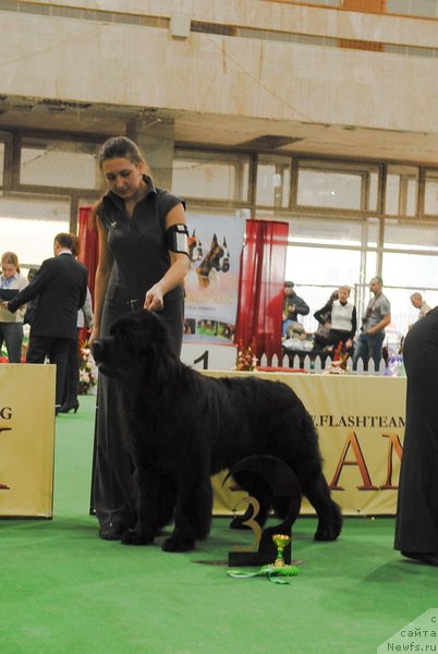 Фотография № 81457