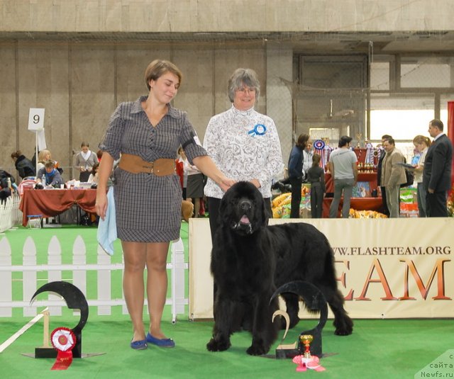 Фотография № 81459