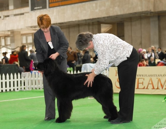 Фотография № 81489