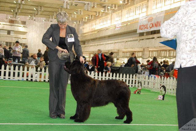 Фотография № 81490