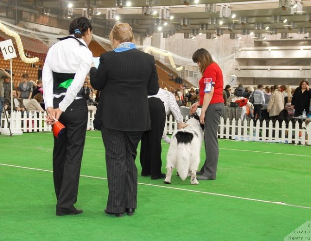 Фотография № 81491