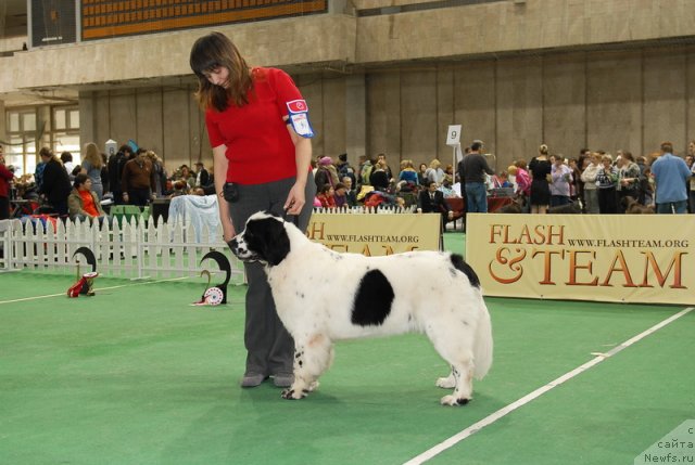 Фотография № 81492