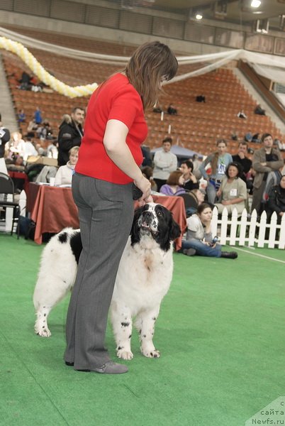 Фотография № 81493