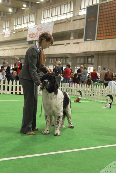 Фотография № 81499