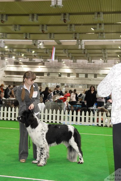 Фотография № 81500