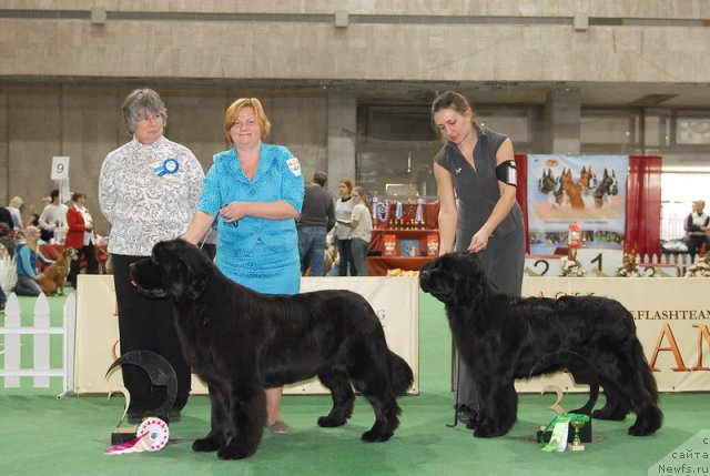 Фотография № 81506