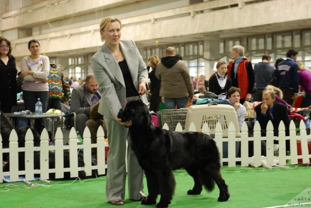 Фотография № 81508