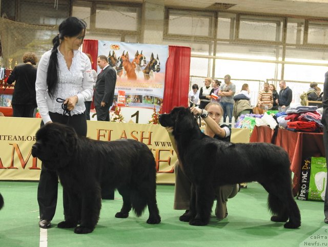 Фотография № 81510