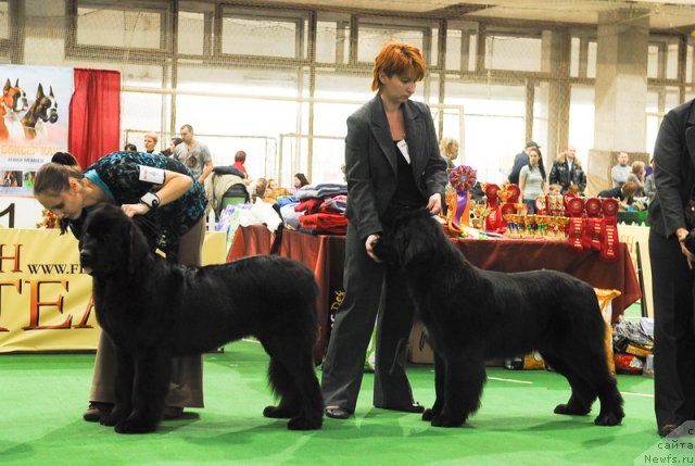 Фотография № 81512