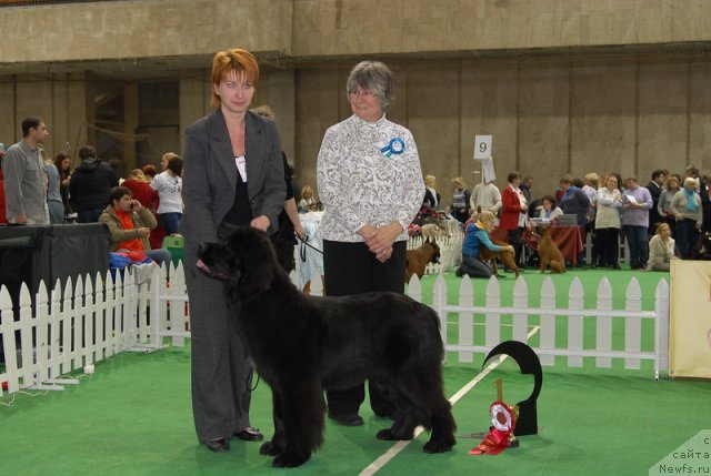 Фотография № 81517