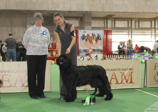 Фотография № 81518