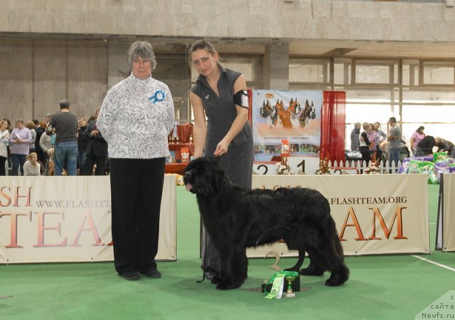 Фотография № 81519