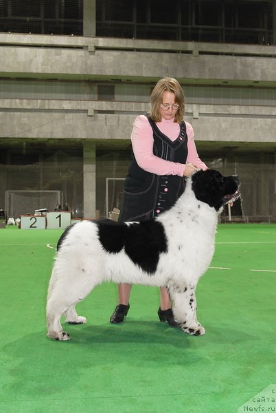 Фотография № 81523