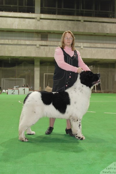 Фотография № 81524