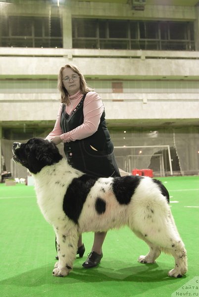 Фотография № 81526