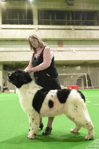 Фотография № 81527