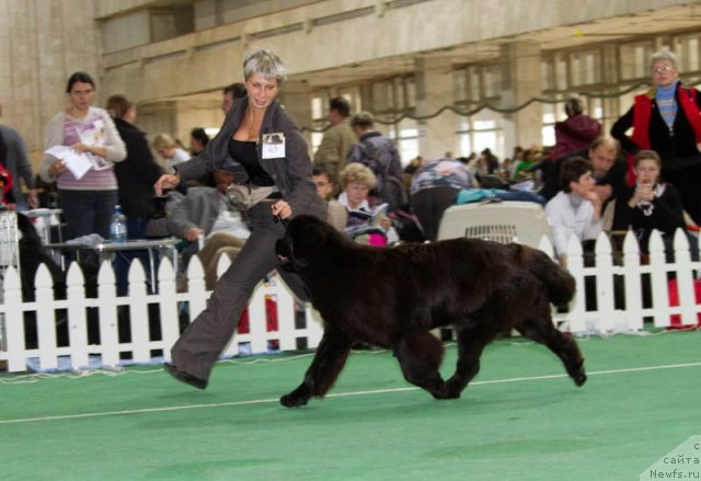 Фотография № 81542