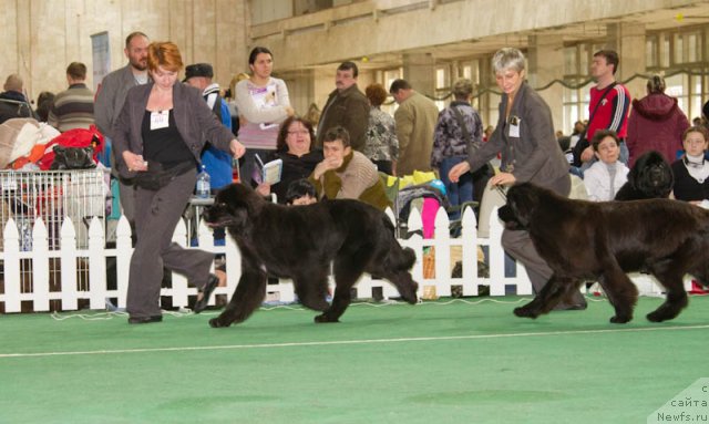 Фотография № 81543