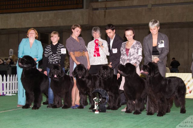 Фотография № 81544