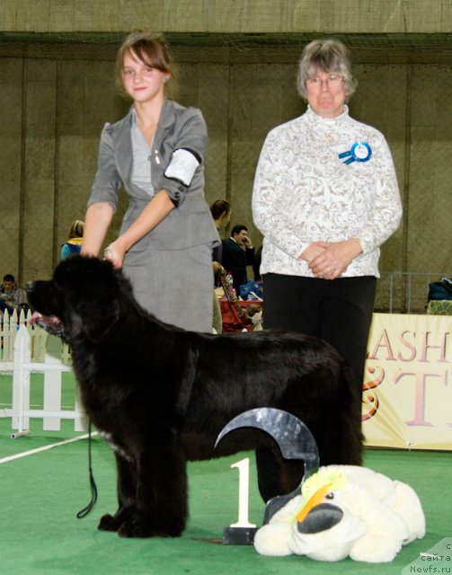 Фотография № 81546