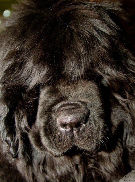 Фотография № 81553