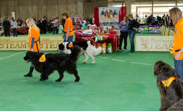 Фотография № 81554