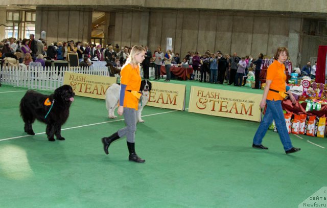 Фотография № 81555