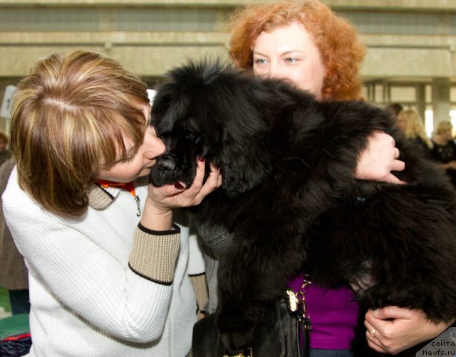 Фотография № 81557