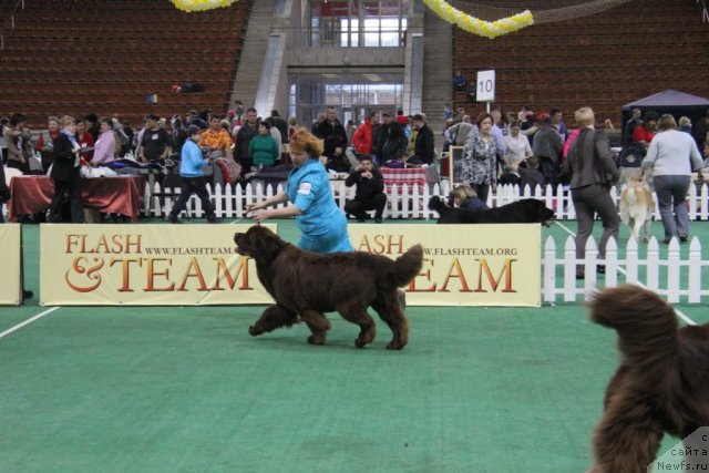 Фотография № 81561