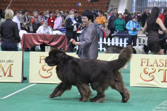 Фотография № 81562