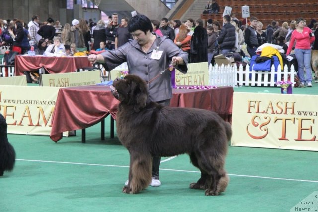 Фотография № 81563