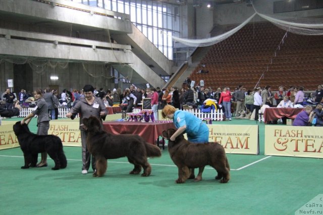 Фотография № 81564