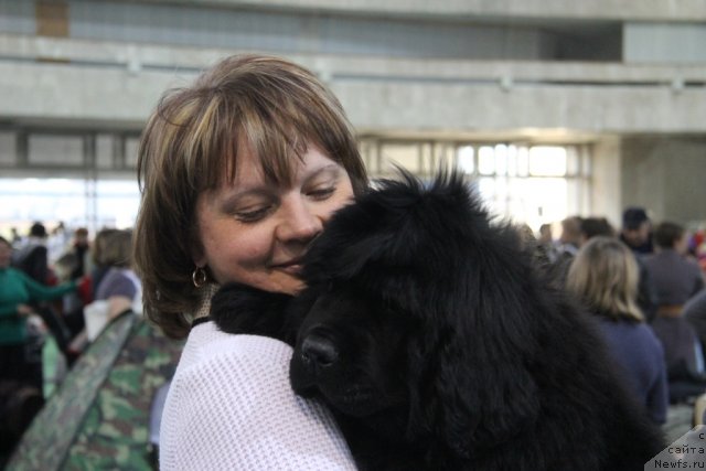 Фотография № 81565