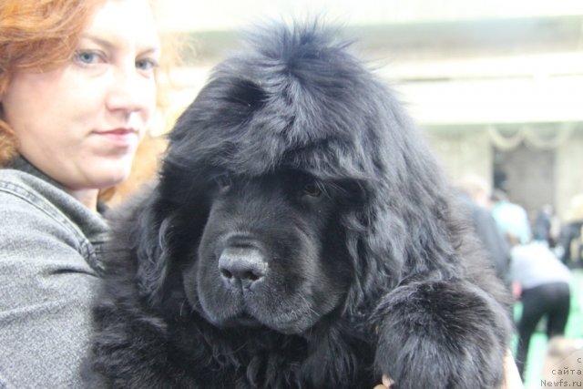 Фотография № 81568