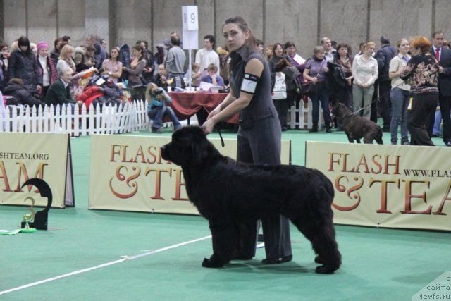 Фотография № 81571