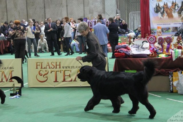 Фотография № 81572