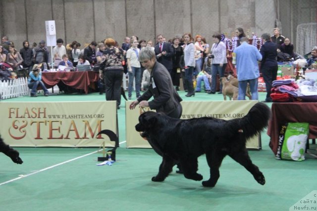 Фотография № 81573