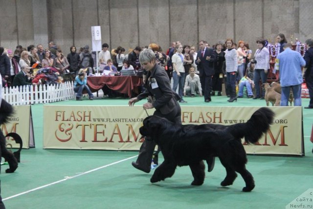 Фотография № 81574