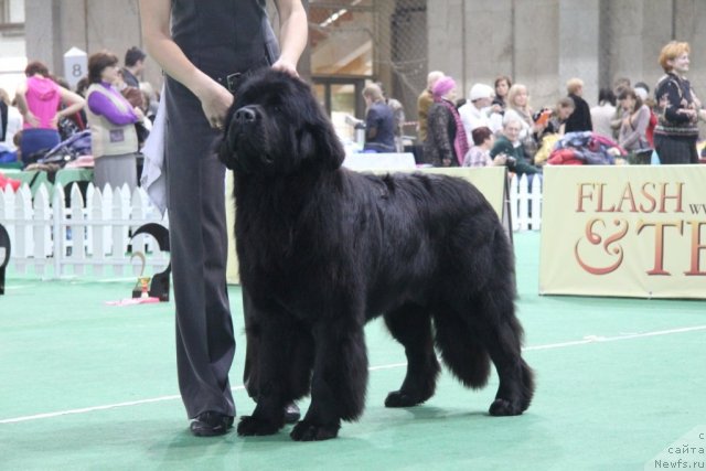 Фотография № 81575