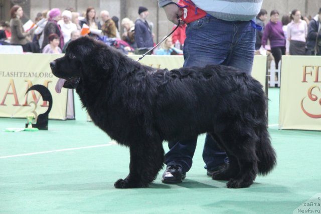 Фотография № 81576